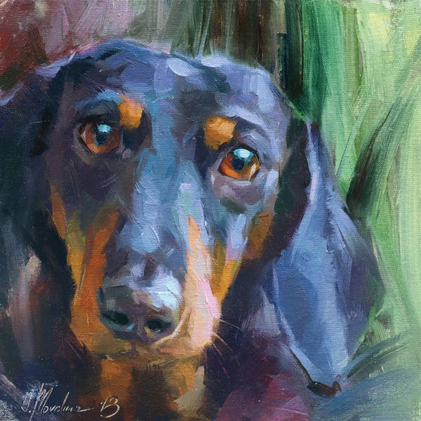 Dachshunds: Dachshund by Alex Movchun
