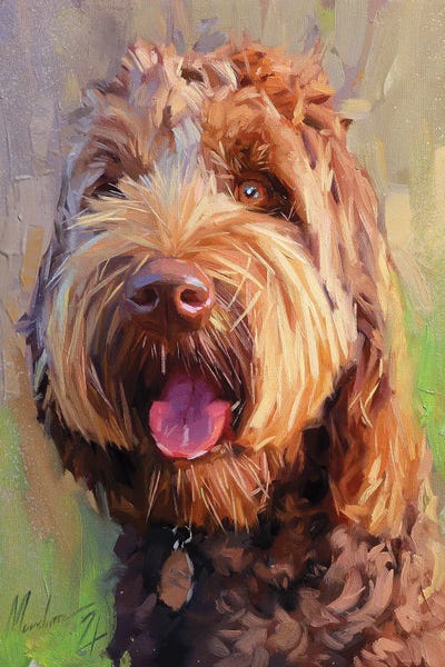 Alex Movchun: Brown Labradoodle by Alex Movchun