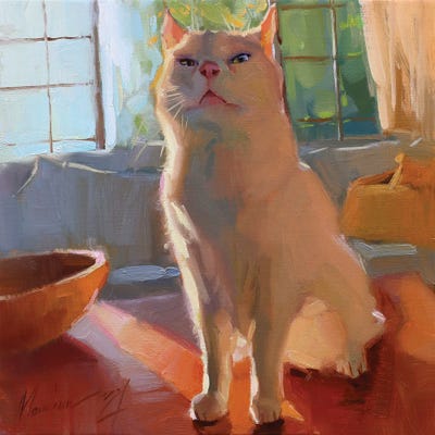 White Cat Pet by Alex Movchun canvas print