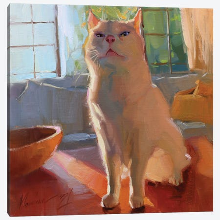 White Cat Pet Canvas Print #AMV61} by Alex Movchun Canvas Art