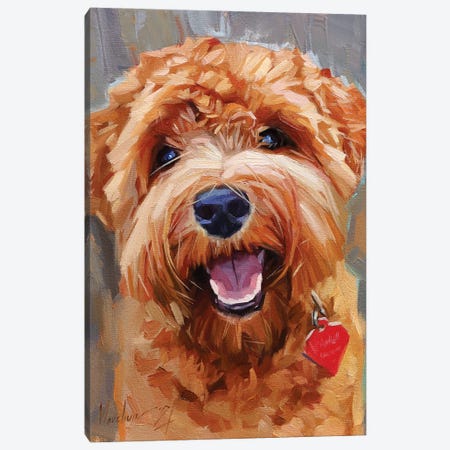 Yellow Curly Dog Canvas Print #AMV64} by Alex Movchun Art Print
