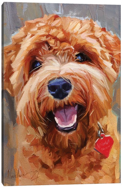 Yellow Curly Dog Canvas Art Print