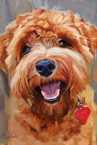 Alex Movchun: Yellow Curly Dog by Alex Movchun