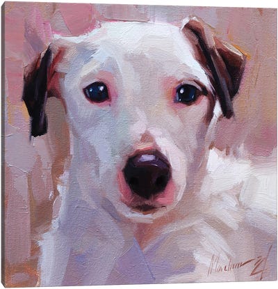 White Jack Russell Canvas Art Print - Jack Russell Terrier Art