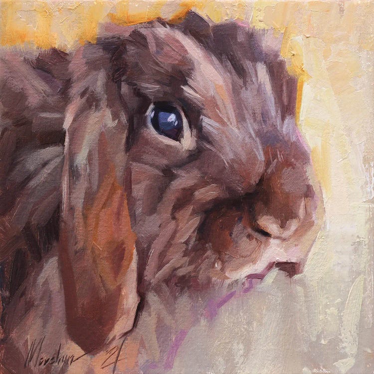 Brown Bunny by Alex Movchun wall art