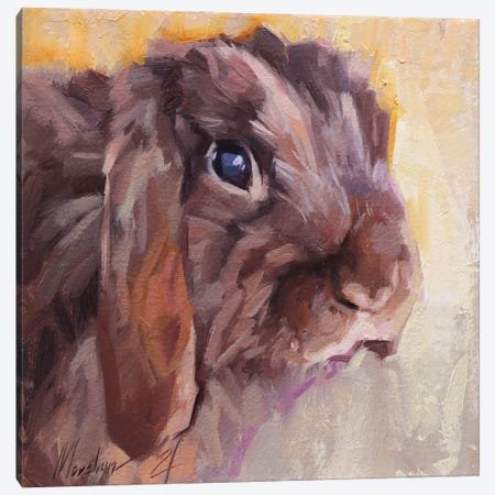 Brown Bunny Canvas Print #AMV67} by Alex Movchun Canvas Print