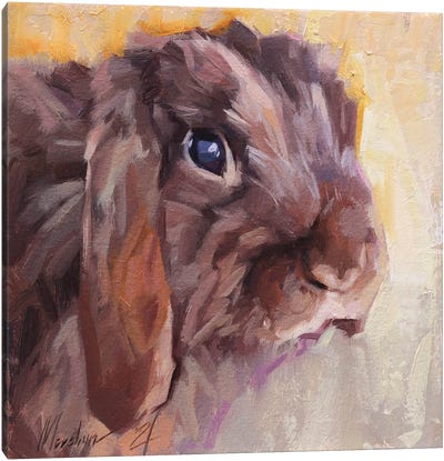 Brown Bunny Canvas Art Print - Alex Movchun