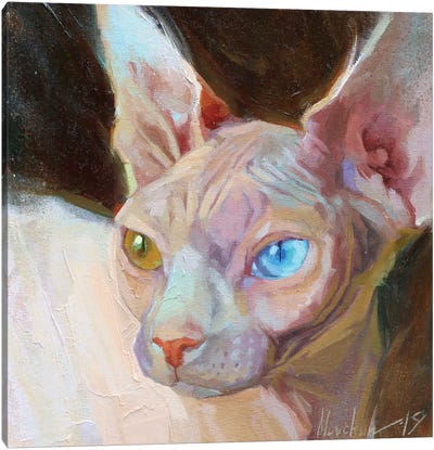 White Sphinx Canvas Art Print - Hairless Cat Art