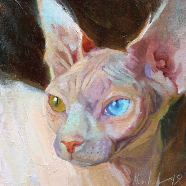 Hairless Cats: White Sphinx by Alex Movchun