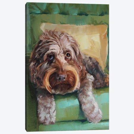 Fluffy Dog Canvas Print #AMV71} by Alex Movchun Canvas Print