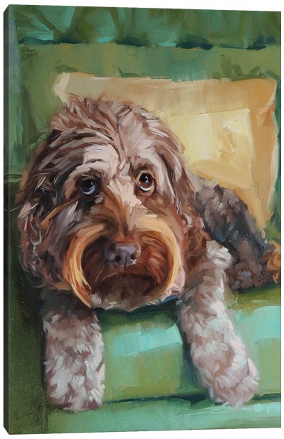 Fluffy Dog Canvas Art Print - Labradoodle Art