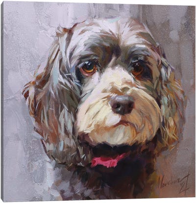 Poodle Pet Canvas Art Print - Alex Movchun