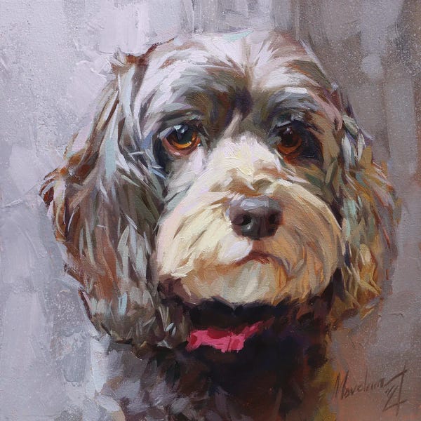 Alex Movchun: Poodle Pet by Alex Movchun