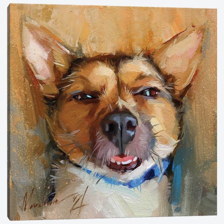 Portrait Of Lazy Puppy Canvas Print #AMV73} by Alex Movchun Art Print