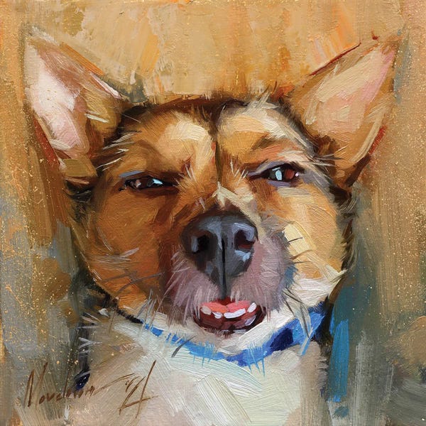Puppies: Portrait Of Lazy Puppy by Alex Movchun