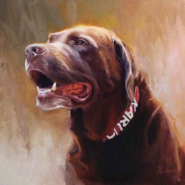 Labrador Retrievers: Chocolate Lab by Alex Movchun