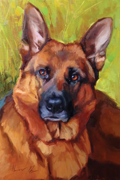 German Shepherds: Shepherd by Alex Movchun