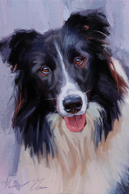 Border Collie by Alex Movchun wall art