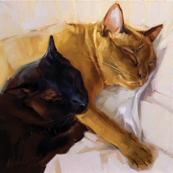 Black Cats: Black And Golden Cat by Alex Movchun