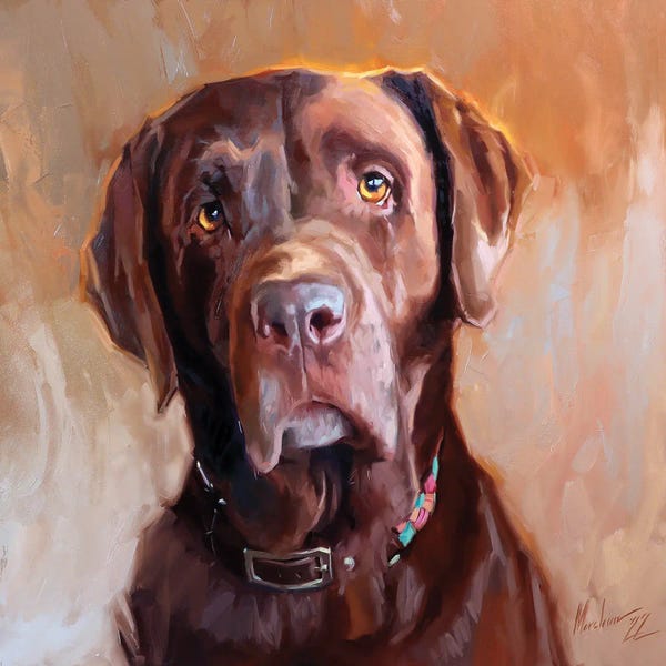 Alex Movchun: Chocolate Labrador by Alex Movchun