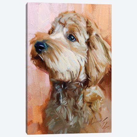 Grey Poodle Canvas Print #AMV80} by Alex Movchun Canvas Artwork