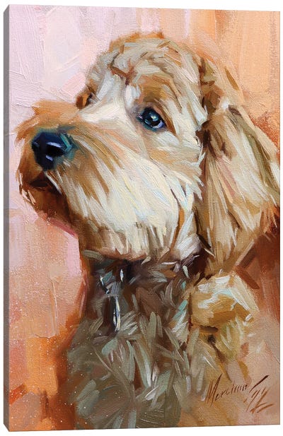 Grey Poodle Canvas Art Print - Poodle Art