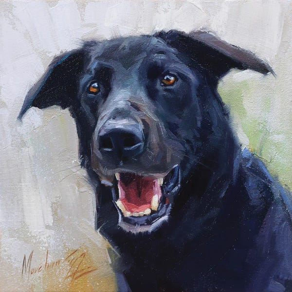 Labrador Retrievers: Black Dog by Alex Movchun