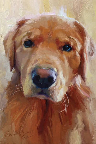 Yellow Labrador Dog Portrait by Alex Movchun framed wall art