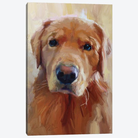 Yellow Labrador Dog Portrait Canvas Print #AMV84} by Alex Movchun Canvas Art Print