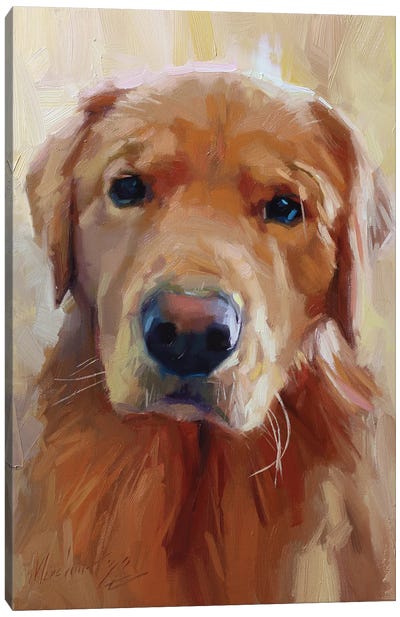 Yellow Labrador Dog Portrait Canvas Art Print - Alex Movchun