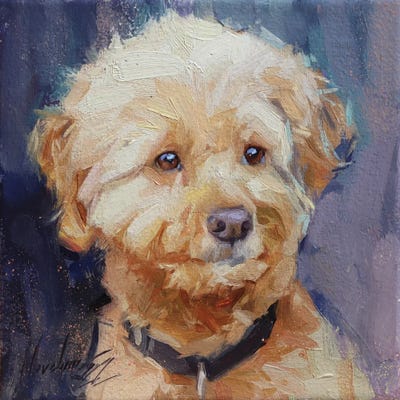 White Poodle by Alex Movchun canvas print