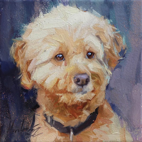 Alex Movchun: White Poodle by Alex Movchun