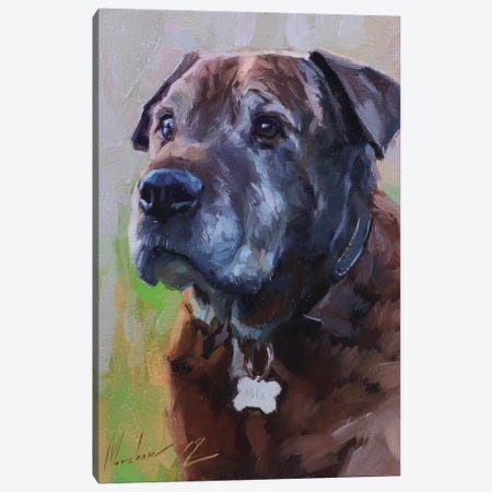 Brown Dog Canvas Print #AMV88} by Alex Movchun Canvas Wall Art