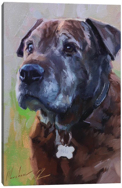 Brown Dog Canvas Art Print - Alex Movchun
