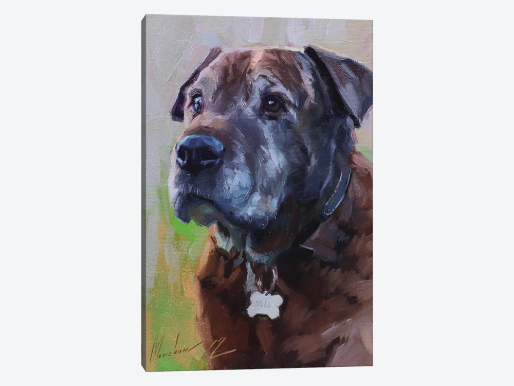 Brown Dog by Alex Movchun 1-piece Canvas Art