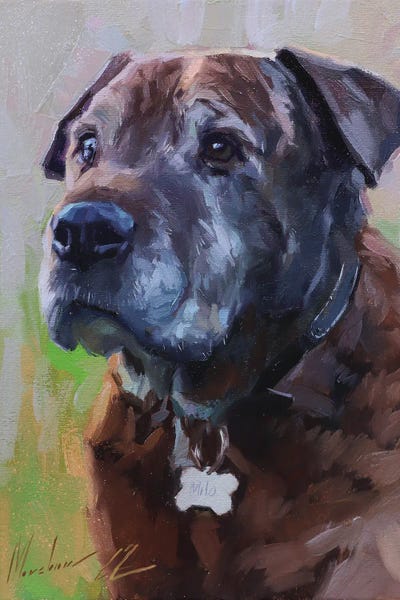 Labrador Retrievers: Brown Dog by Alex Movchun
