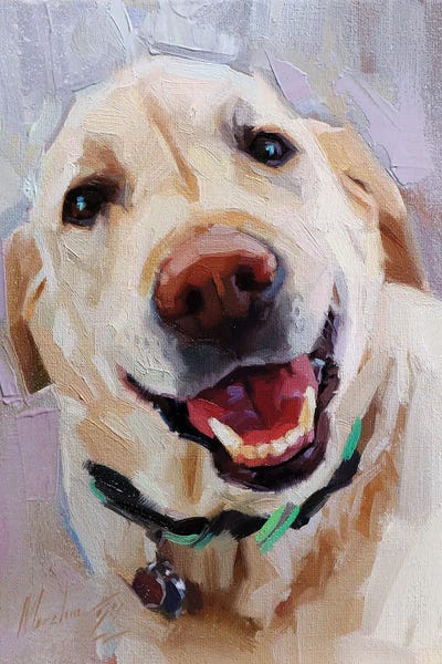 Alex Movchun: Happy White Dog by Alex Movchun