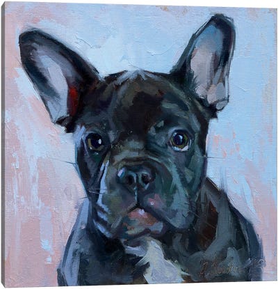 Black Bulldog Canvas Art Print - Bulldog Art