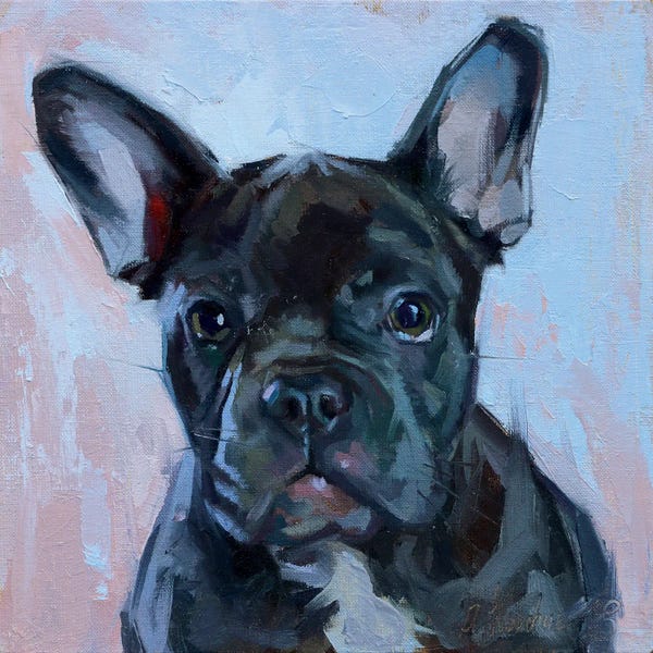 Bulldogs: Black Bulldog by Alex Movchun