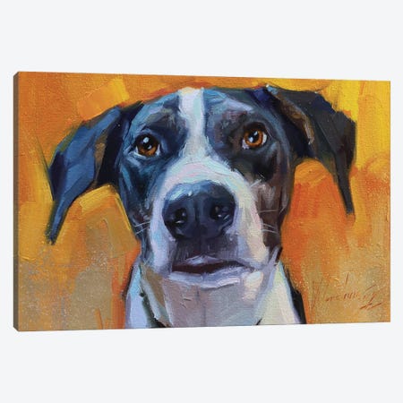 Dog Portrait With Big Ears Canvas Print #AMV90} by Alex Movchun Art Print