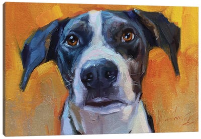 Dog Portrait With Big Ears Canvas Art Print - Alex Movchun