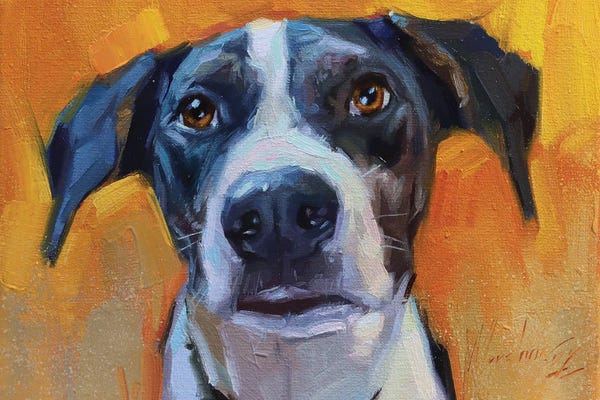 Alex Movchun: Dog Portrait With Big Ears by Alex Movchun