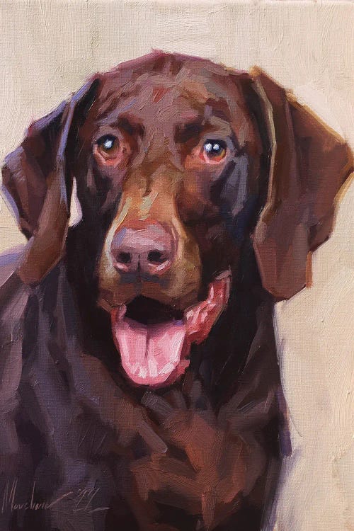 German Shorthaired Pointer