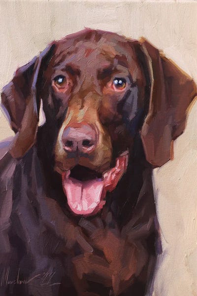 German Shorthaired Pointers: German Shorthaired Pointer by Alex Movchun