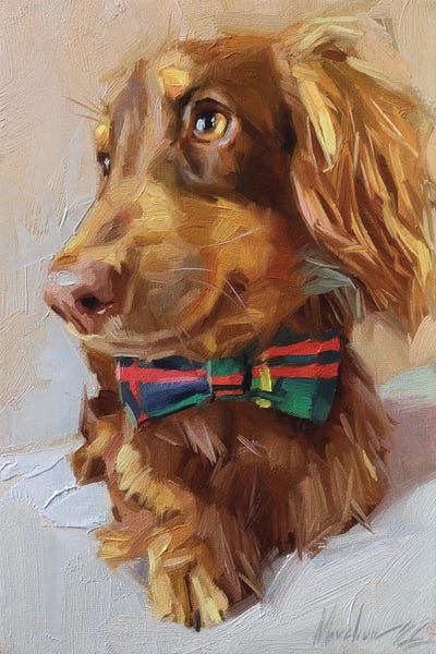 Dachshunds: Little Dachshund by Alex Movchun