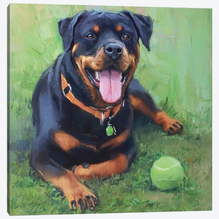Rottweiler Painting Canvas Print #AMV96} by Alex Movchun Canvas Art
