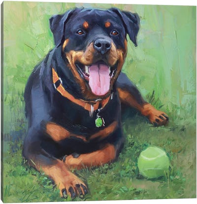 Rottweiler Painting Canvas Art Print - Grass Art