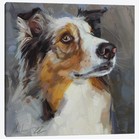 Collie Dog Portrait Canvas Print #AMV97} by Alex Movchun Canvas Wall Art