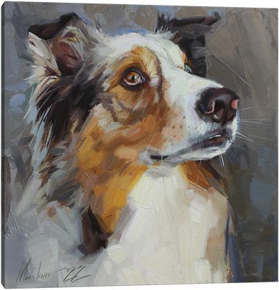 Collie Dog Portrait Canvas Art Print - Alex Movchun