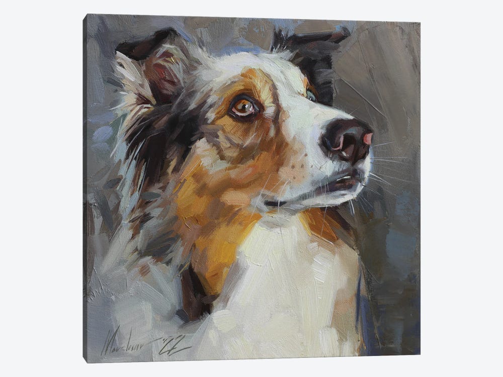 Collie Dog Portrait by Alex Movchun 1-piece Canvas Art